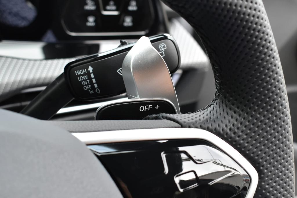 maniacs DSG Paddle Extension TSI standard (Mat Chrome)