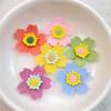10Pcs New Cute Cartoon Simulated Five Petal Flower Series Flat Back Resin Cabochons Scrapbooking DIY Jewelry Craft Decorat