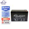 LEOCH DJW12 Series 12V VRLA Maintenance-Free Battery