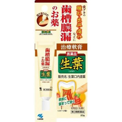 Fresh Leaf Oral Ointment 20g