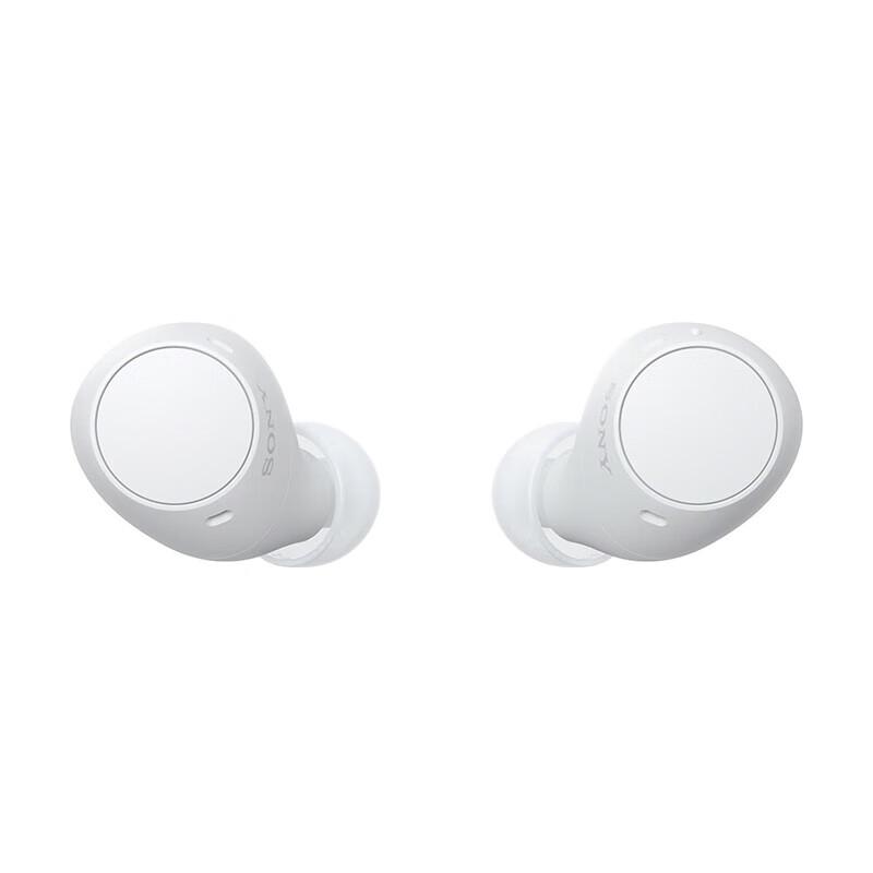 Sony WF-C510 True Wireless Earbuds