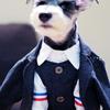 Pet Formal Vest Suit Set Small Dogs Cats Schnauzer French Bulldog Stylish Gentleman Outfit