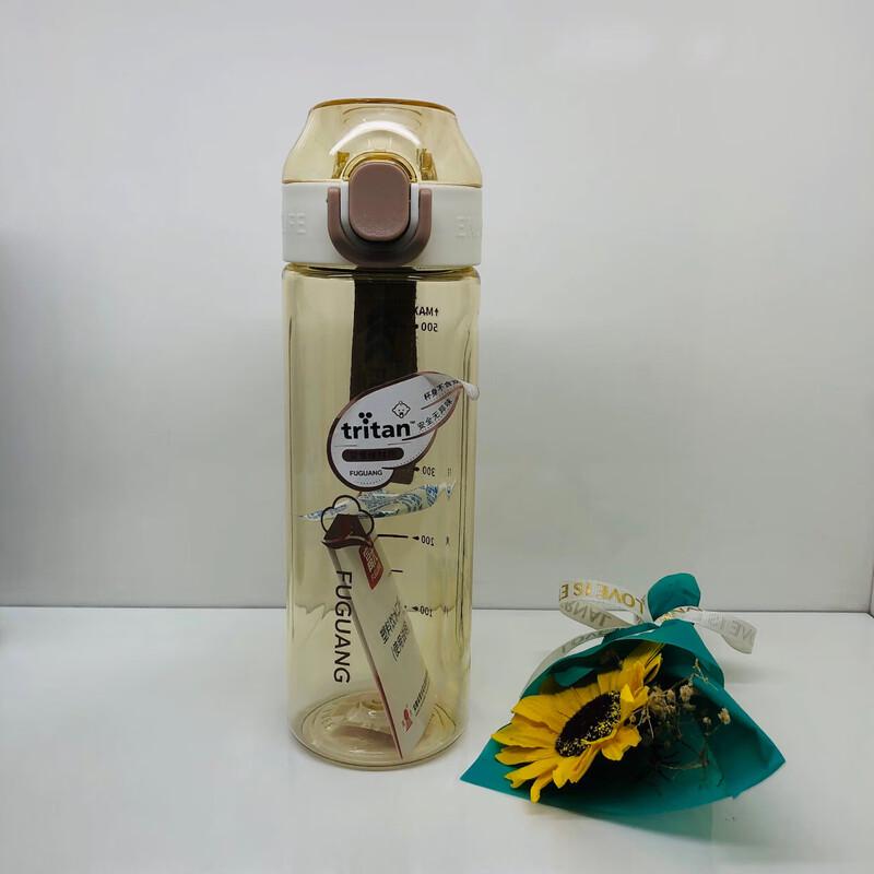 Fuguang Lingyue Pop-up Lid Water Bottle FGAA034-600