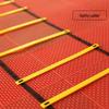 Agility Training Ladder