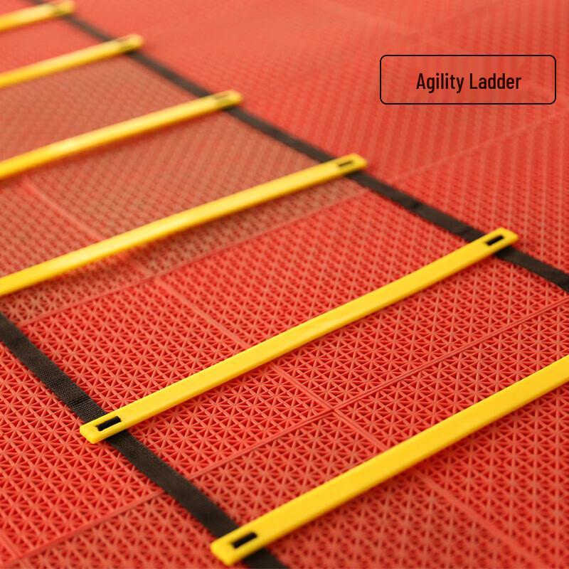 Agility Training Ladder