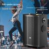 Suoai SA-F87 15-inch Portable Bluetooth KTV Speaker with Dual Mics