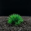 Aquatic Plant Mini Landscape: Fish Tank Simulation with Seaweed and Succulents