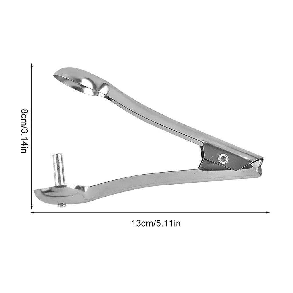 Professional Cherry Pitter Gadgets Stainless Steel Fruit Plum Stone Corer Pitter Kit Jujube Red Date Accessories