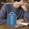 Small Handheld Speaker Bluetooth Portable Sound Box Music Wireless Subwoofer Mini Radio FM Woofer Bass Computer PC TV Small Audio