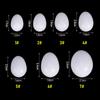 5/10pcs Simulated Pigeon Eggs Chicken Eggs Simulated Fake Eggs Racing Pigeon Hatching Supplies Bird Raising Tools Hatching Eggs