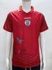 Haiti jersey 2026 national team unpopular Piero football jersey Haiti soccer jersey shirt