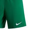 Nike Dri-Fit Quick-Dry Comfortable Slim Fit Casual Shorts Men Shorts Light-Green White HF0527-302