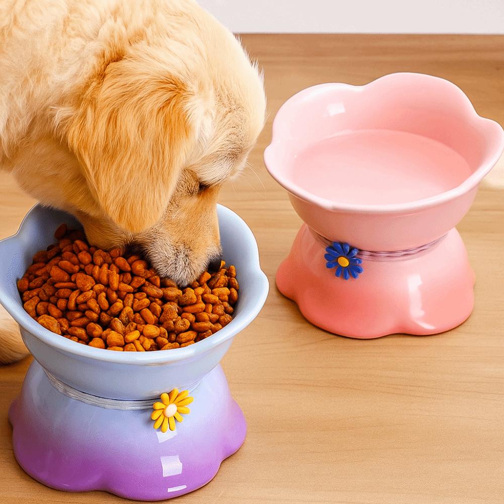 Flower Shape Pet High Foot Bowl Gradient Color Pet Drinking Feeder Multi-use Cat Bowl Kitten Puppy