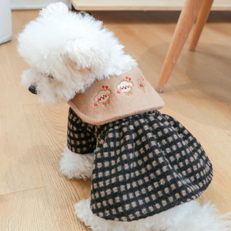dogs dressed for winter