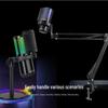 RGB USB Desktop Boom Arm Microphone for Gaming, Streaming & Recording with Mute & Monitoring Features