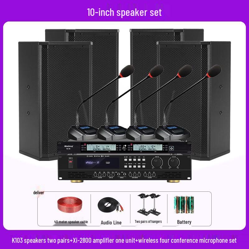 QIASHENG Professional Conference Room & Stage Audio System CN plug (adapter included)