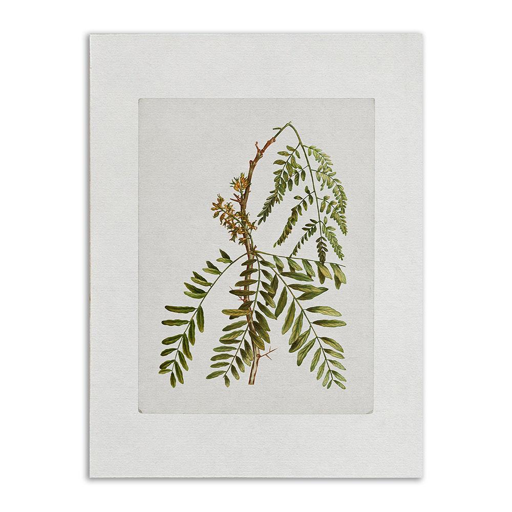 

Ретро настенный художественный постер и принты, винтажный ботанический античный цветочный скандинавский холст, картина для гостиной, украшение дома, картина 21x30cm No Frame