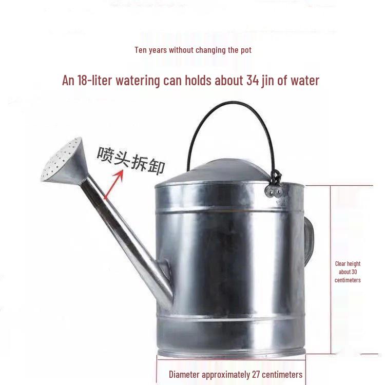 Tin Watering Can: Large Capacity for Vegetables & Flowers, with Spray Nozzle