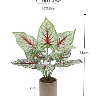 Simulation Potted Plant Fairy Taro Leaves Potted Plant Home Decoration Tabletop Ornament Simulation Plant Simulation Flower