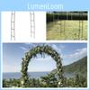 Foldable Climbing Plant Support Arch Metal Garden Trellis For Vines And Roses Simple Style