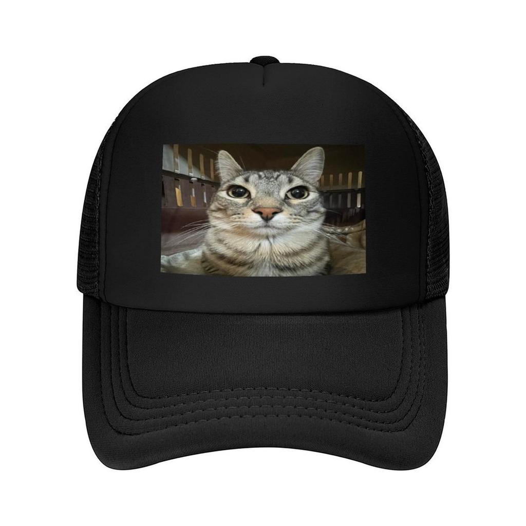 Cat looking directly at you Baseball Cap Military Cap Man Cosplay fun hats New In Hat For Women Men's