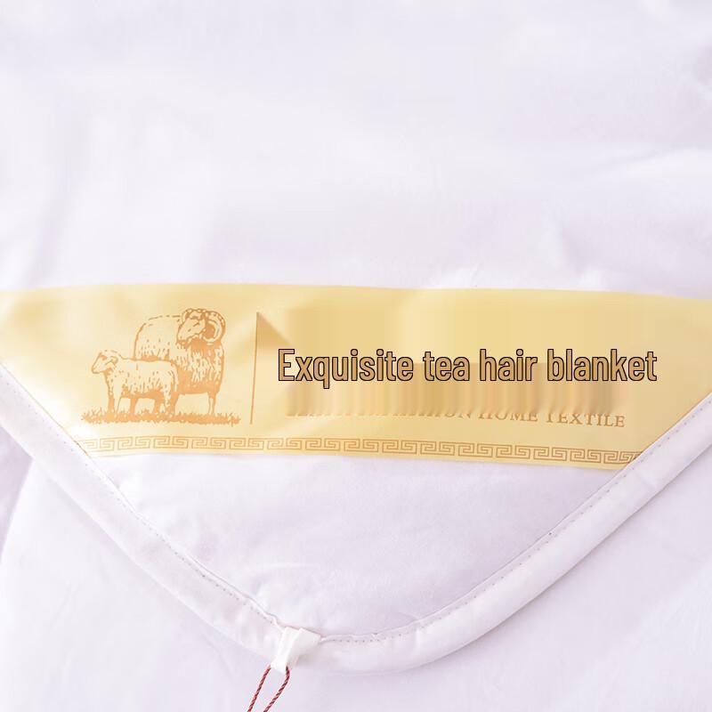 HEJIAN Pure Wool Winter Duvet