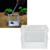 Reptile Insect Enclosure     Acrylic High Transparency Moisturizing Reptile Insect Breeding Box