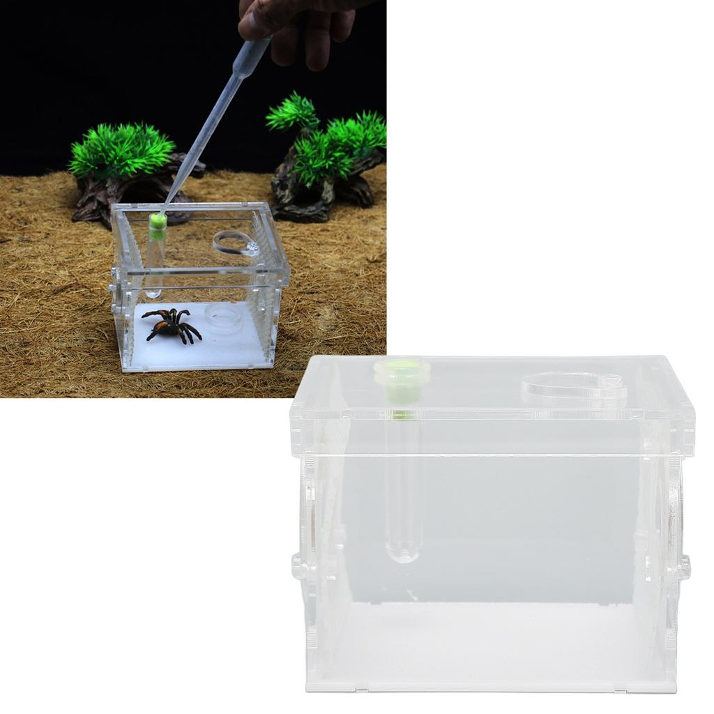 Reptile Insect Enclosure     Acrylic High Transparency Moisturizing Reptile Insect Breeding Box