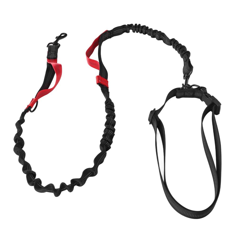 Strapazierfähige Bungee-Hundeleine Stoßdämpfendes Elastisches Hundeleinenseil mit 2 Gepolsterten Griffen für Große Hunde beim Spazierengehen und Training