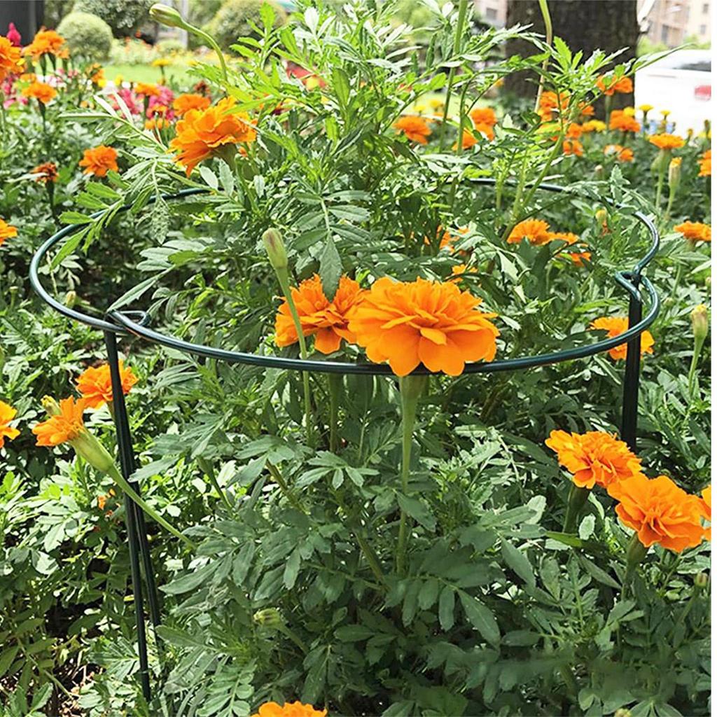 Plant Stakes And Supports 6 Pieces Indoor Plant Support Rings For Flowers Rustproof Half Round Stem Holder Climbing Gardening