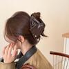 Solid Color Gold Standard Leather Triangle Clip Female 2025 New High-end Sense of Temperament Shark Clip Hair Accessories on The Back of The Head