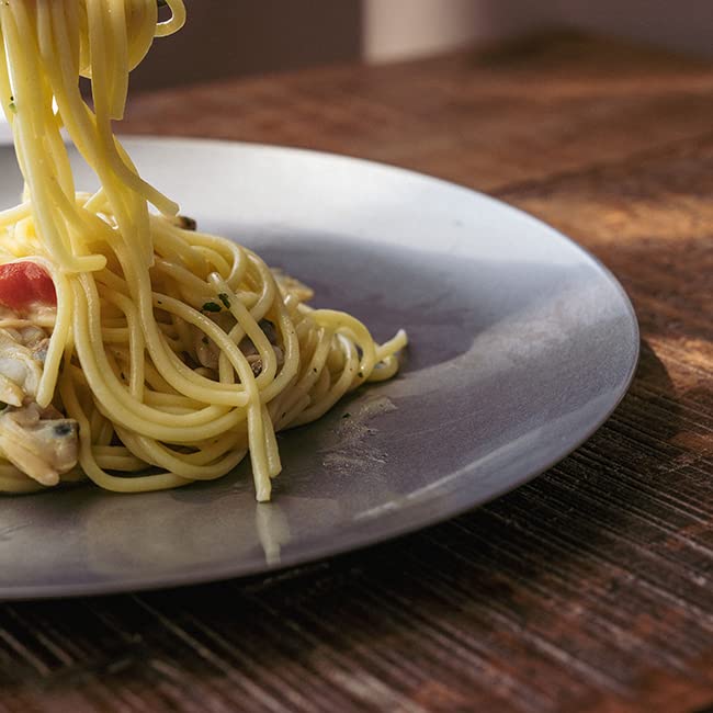 Vintage Inox Round Coupe Plate, 250mm, Made In Japan, Authentic VINTAGEINOX, Ideal for Cafes and Restaurants, Stainless Steel with Aged Finish,