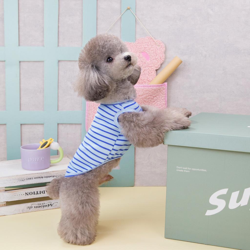 Pet Bichon Teddy Schnauzer small dog dog clothes vest spring and summer cat clothes 24 cloth label striped vest
