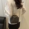 2025 New Retro Niche Design Handbag High-end Leopard Print Chain Single Shoulder Crossbody Gold Bag Female Tide
