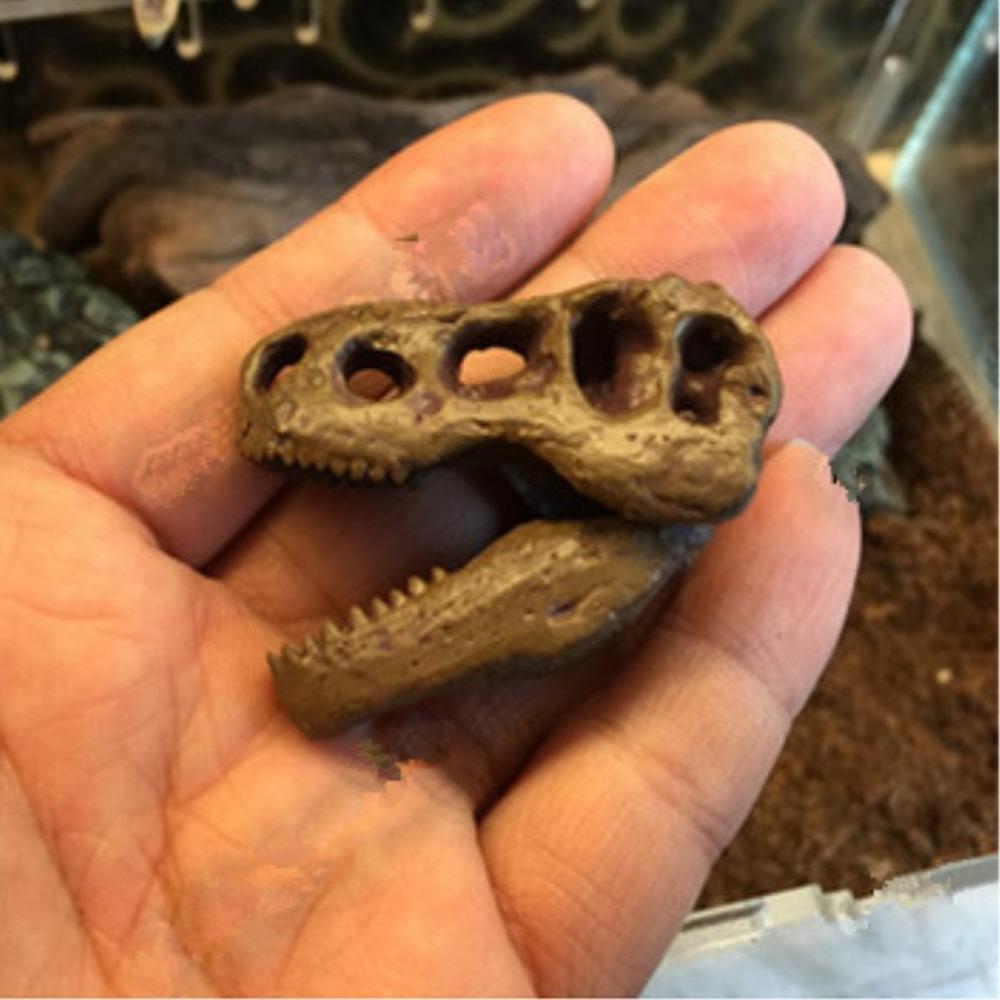 1Pcs Mini Tyrannosaurus Rex Dinosaur Resin Fossil Skull Collectibles Dark Grey