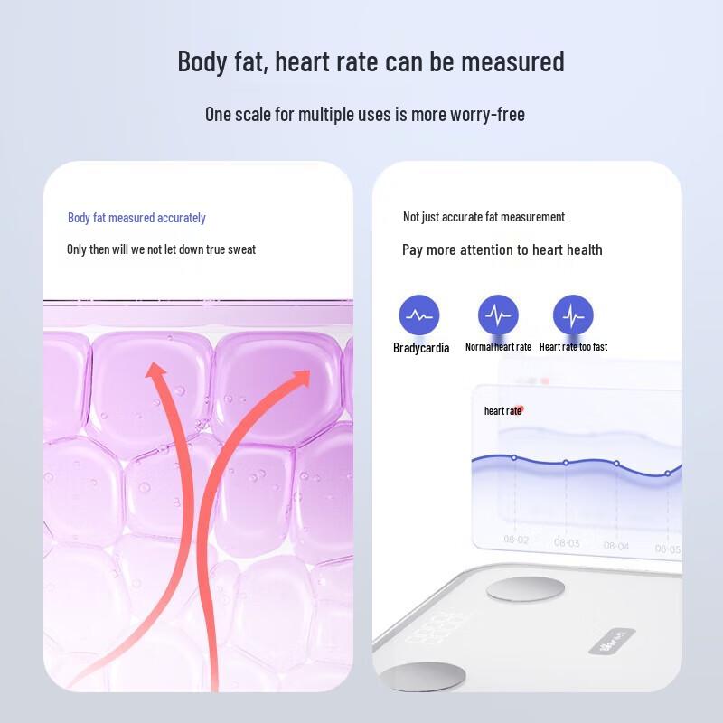 Xiaoxiong Smart Body Fat & Weight Scale
