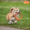 LaRoo Teddy Dog Dental Durable Chew Toy for Small 18cm Round Stress Reliever To Medium Floating Training Toy for Pets Toy, Dogs, Frisbee, (Small