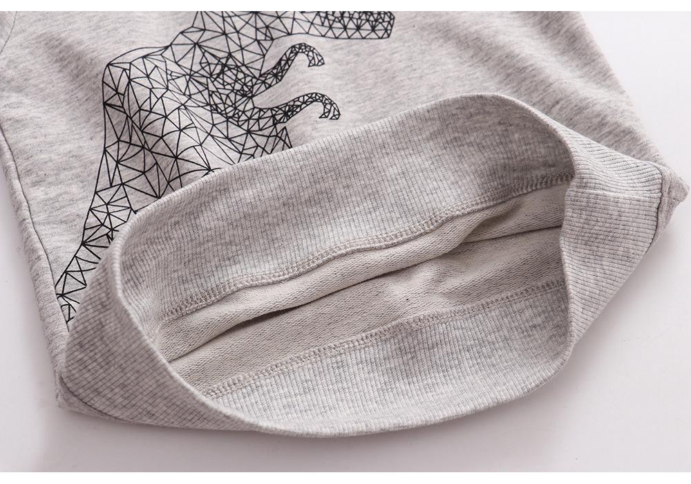European Style Kids' Cotton Long-Sleeve Hoodie for Autumn and Winter