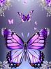 DIY Diamond Embroidery Butterfly Beaded Mosaic Animal Cross Stitch Kits Diamond Painting Stone New Arrival Handmade Gift