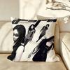 Kpop group aaespaas Cushion Cover Pillow Case Antidustmite Pillowcase Silky Short Plush Sofa Cushion Cover hot