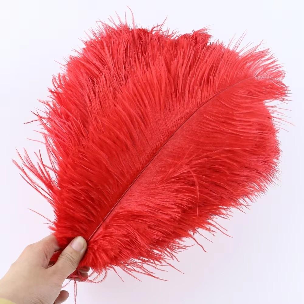 10Pcs Stage Props Ostrich Feathers 15-20cm Colored Ostrich Feathers  Home Decoration
