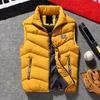 Autumn Winter Men Vest Cotton Padded Solid Color Zipper Windproof Thickened Sleeveless Jacket Streetwear