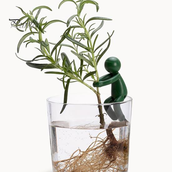 6-teiliger Pflanzenanzuchthalter für Stängel, Sprossen, Triebe, Zweige, Pflanzenstecklinge, Befestigungsclip, für den Innen- und Außenbereich, Gartenpflanzenanzuchtstation