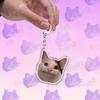 Funny Cute Cat Meme Keychain Accessories Bag Charms Cat Lover Animal Keychains Keyrings Jewelry Fans Cute Cartoon Freinds Gift