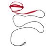 Bird Leash Bite Resistant Adjustable Parrot Flying Training Rope for Walking Attending PartyRed S