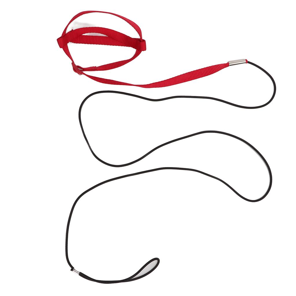 Bird Leash Bite Resistant Adjustable Parrot Flying Training Rope for Walking Attending PartyRed S