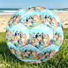 Bluey Print Size 5 Soccer Ball, PU Wear Resistant Football for Match Training and Daily Practice, Birthday Gift for Soccer Fans