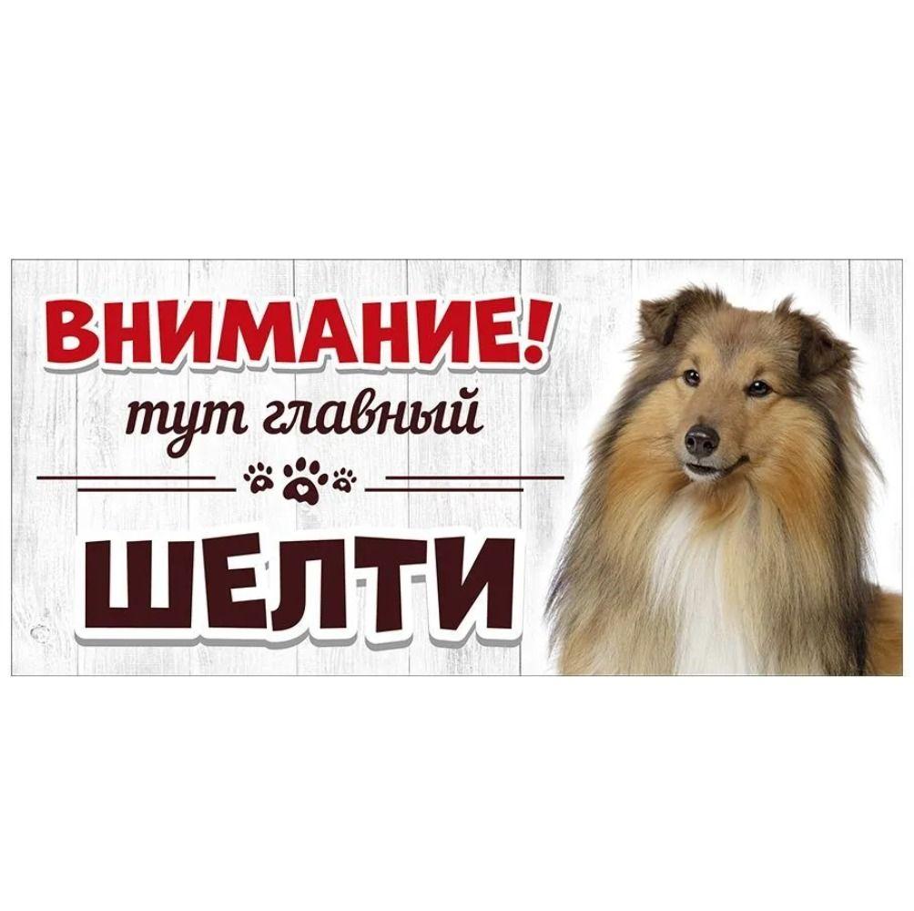 Evil Pomeranian Spitz Sign, Metal Fence Door Plaque 30x15cm