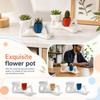 Decorațiuni pentru casă – Ghivece de flori decorative