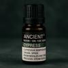 Cypress Essential Oil Steam Distilled 10ml
